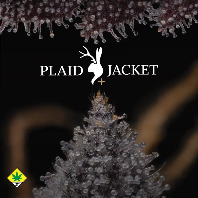 Floyd's Cannabis Event Plaid Jacket Vendor Day - Everett