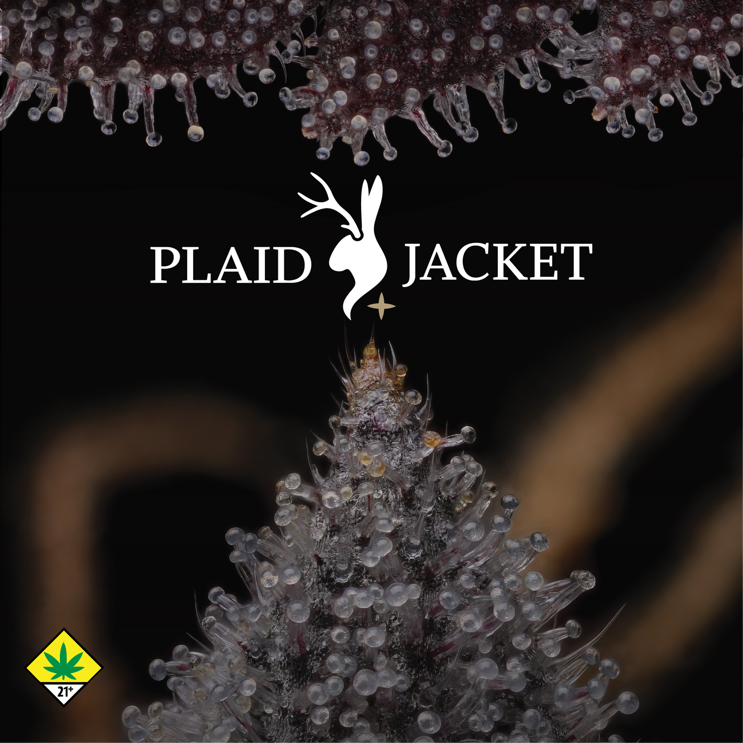 Floyd's Cannabis Event Plaid Jacket Vendor Day - Everett