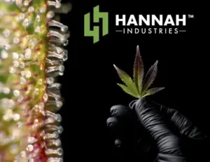 Floyd's Cannabis Event Hannah Industries Vendor Day - Burlington