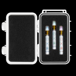 Fire Bros Vendor Day Burlington