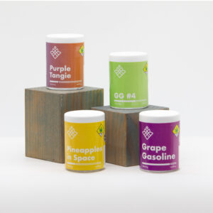 Good Earth Vendor Day