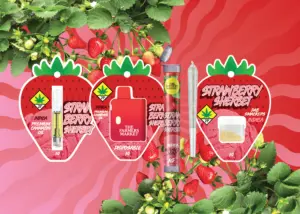 Farmer’s Market vendor day Mount Vernon