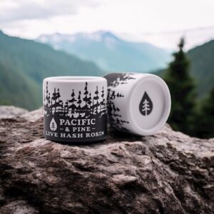 Pacific & Pine vendor day at Floyd's Mount Vernon